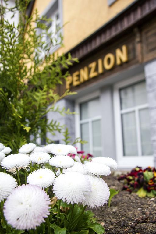 Penzion 43 Bor ภายนอก รูปภาพ